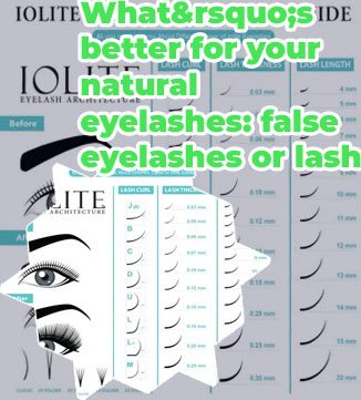Average price for lash extensions